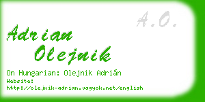 adrian olejnik business card